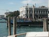Venezia 2002